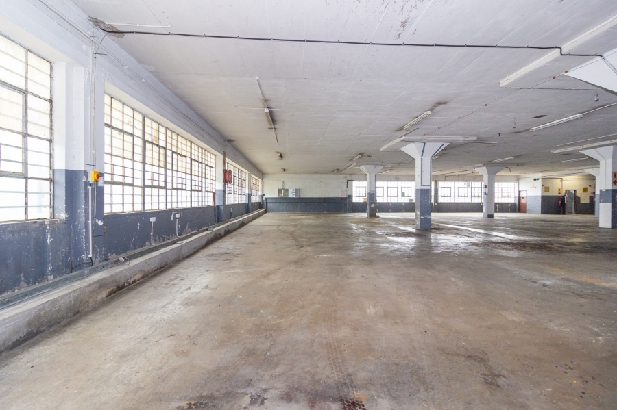 To Let commercial Property for Rent in Korsten Eastern Cape